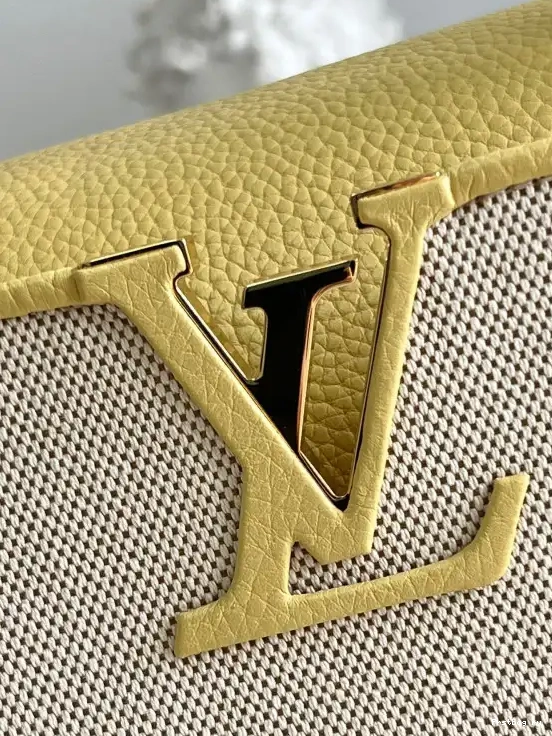Frstbag ru MM LOUIS VUITTON CAPUCINES 0505